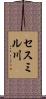 セスミル川 Scroll