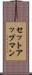 セットアップマン Scroll