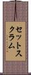 セットスクラム Scroll
