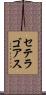 セテラゴアス Scroll