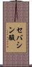 セバシン酸 Scroll