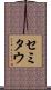 セミタウ Scroll