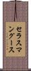 セラスマングース Scroll