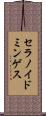 セラノイドミンゲス Scroll