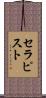 セラピスト Scroll