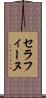 セラフィーヌ Scroll