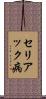 セリアック病 Scroll