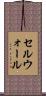 セルウォール Scroll