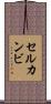 セルカンビ Scroll