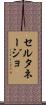 セルタネージョ Scroll