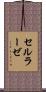 セルラーゼ Scroll