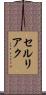 セルリアク Scroll