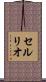 セルリオ Scroll