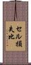 セル損失比 Scroll