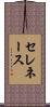 セレネース Scroll