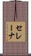セレーナ Scroll