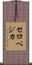 セロペジカ Scroll