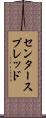 センター・スプレッド Scroll