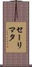 Salimata Scroll