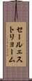 セールェストリョーム Scroll