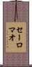 Salomao Scroll