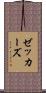 ゼッカーズ Scroll