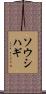 ソウシハギ Scroll