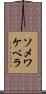 ソメワケベラ Scroll