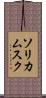 ソリカムスク Scroll