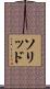 ソリッド Scroll