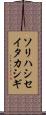 ソリハシセイタカシギ Scroll