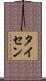 Theisen Scroll