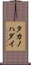 タカノハダイ Scroll