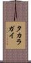 タカラガイ Scroll