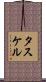 タスケル Scroll