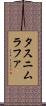 Tasnim Rafa Scroll