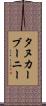 タヌカーブーニー Scroll