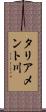 タリアメント川 Scroll