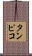 タンピコ Scroll