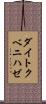 ダイトクベニハゼ Scroll