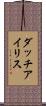 ダッチ・アイリス Scroll