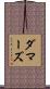 ダマーズ Scroll