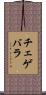 チェゲバラ Scroll