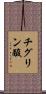 チグリン酸 Scroll