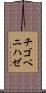チゴベニハゼ Scroll
