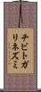 チビトガリネズミ Scroll