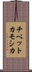 チベットカモシカ Scroll