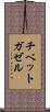 チベットガゼル Scroll