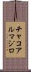 チャコアルマジロ Scroll