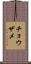 チョウザメ Scroll